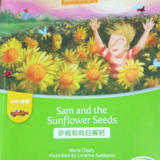 《萨姆和向日葵籽》英语小故事