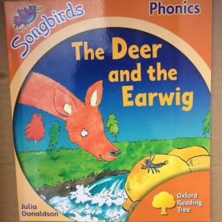 The Deer and the Earwig