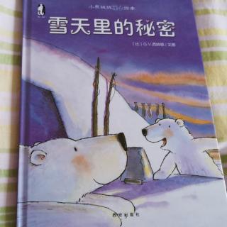 《雪天里的秘密》