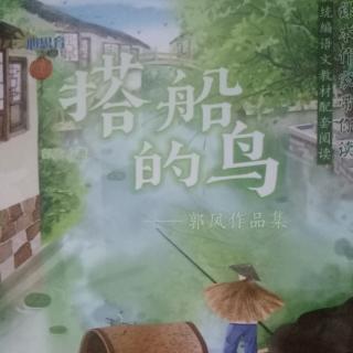 《搭船的鸟》31--38页