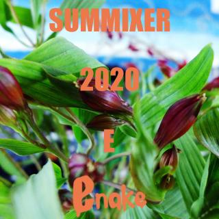 SUMMIXER 2020 E
