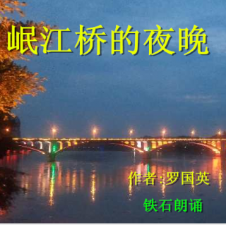 《岷江桥的夜晚》作者:罗国英；铁石朗诵