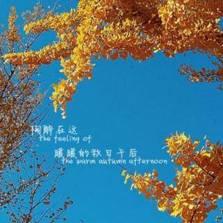 午后——作者（王寅）