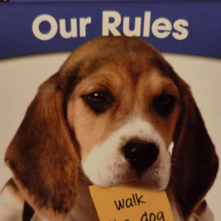 Newmark learning-Our rules