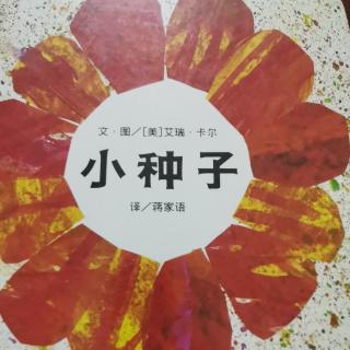 小种子