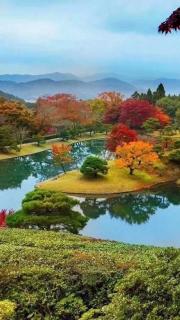 364题破山寺后禅院 常建