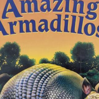 Armadillos-10