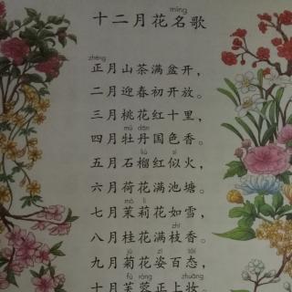 识字   十二月花名歌