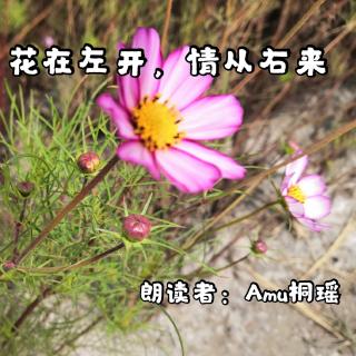 来稿 | 花在左开，情从右来（来自FM89002647）