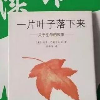 一片叶子落下来