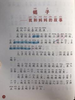 20200819 蝎子 我和妈妈的故事