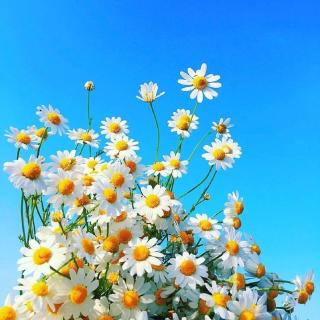 张馨月领读 |《从现在起,我要做一个幸福的人》 - 杨茹爱读书