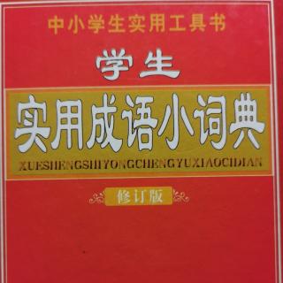 实用成语小词典/持之以恒