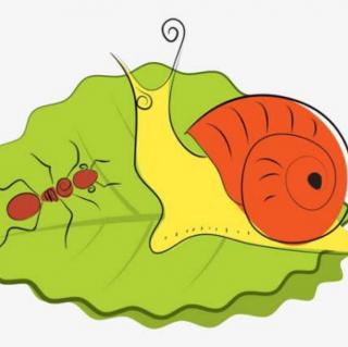 示范区第二幼儿园周周老师讲故事❤:《小蜗牛与小蚂蚁》