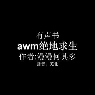 awm绝地求生 第二十一章