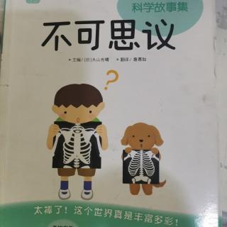 科学故事集—“蚂蚁地狱”的底部是什么？