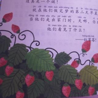 《红蜻蜓，红蜻蜓》—《红草莓重现》