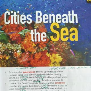 Cities Beneath the Sea