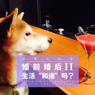 VOL.20 婚前婚后(二)夫妻生活“和谐”吗？