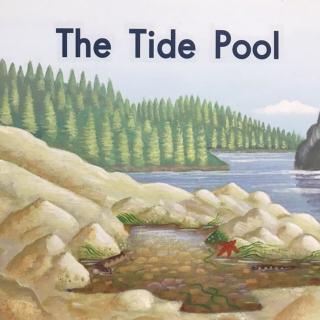 海尼曼 LeveIB Book4 - The Tide PooI