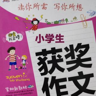 34－小学作文《感人的一课》