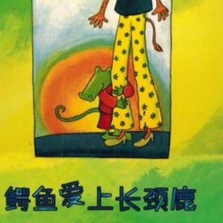 卡蒙加幼教集团禹香苑幼儿园丁老师——《鳄鱼爱上长颈鹿》