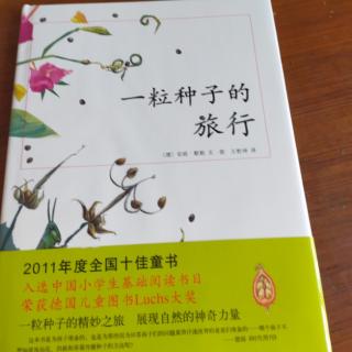 一粒种子的旅行