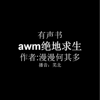 awm绝地求生 第二十二章