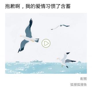 一首告白小诗——鲁米