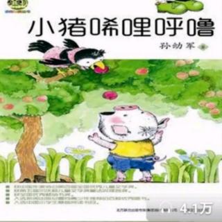 小猪唏哩呼噜