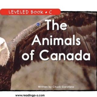 Alan 20200824 The Animals of Canada C