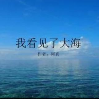 《我看见了大海》