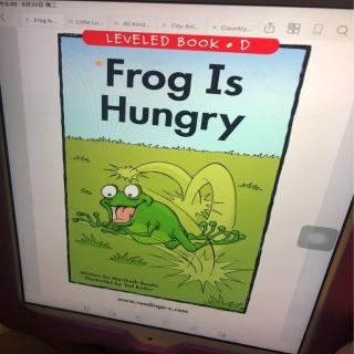 Frog is hungry