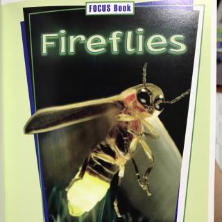 Science A~Z - Fireflies