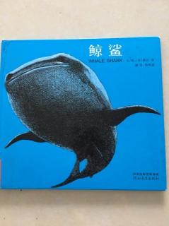 0001.鲸鲨