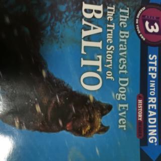 The Bravest Dog Ever The True Story of BALTO