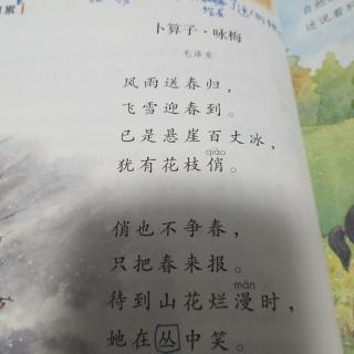 卜算子·咏梅