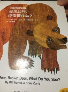 棕色的熊棕色熊你在看什么