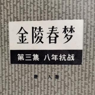 《金陵春梦》第三集第三回