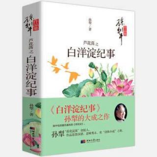 《白洋淀纪事》“帅府”巡礼