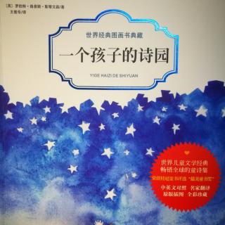 一个孩子的诗园《组诗 一个人的时候5 我的宝藏》