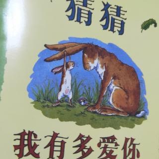 《猜猜我有多爱你》