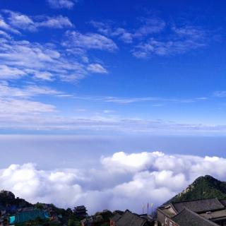 绝不随波逐流，死守原理原则