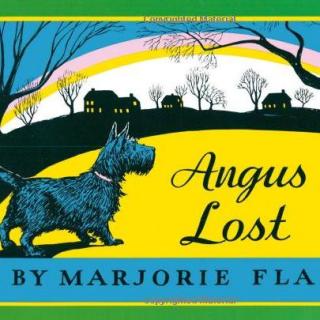2020.08.28-Angus Lost