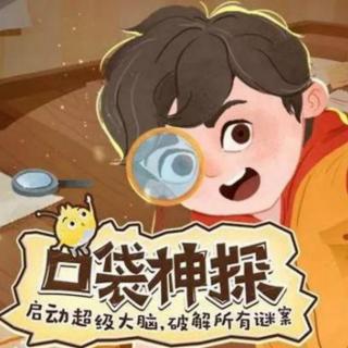 口袋神探03鸡飞飞失踪案