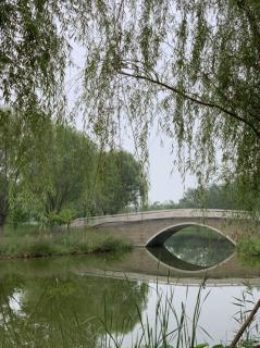 雨后漫步，一抹馨香在心田 - 梅兰竹菊🍹🏊