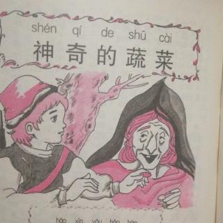 市直幼大一班刘锡垚《神奇的蔬菜》