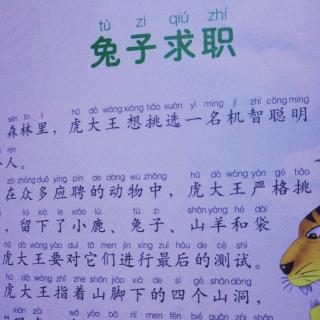 兔子求职