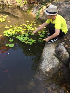 《浣溪沙》辛弃疾