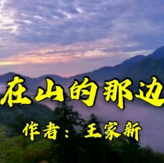 《在山的那边》作者:王家新